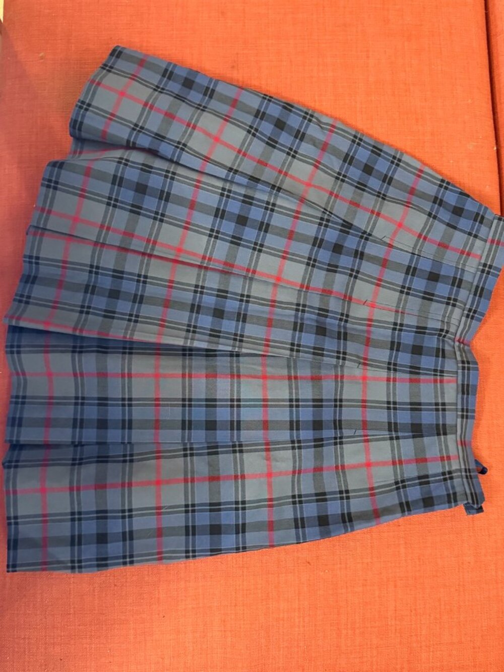 Plaid JK School Pleated Mini Skirt - Blue/Red